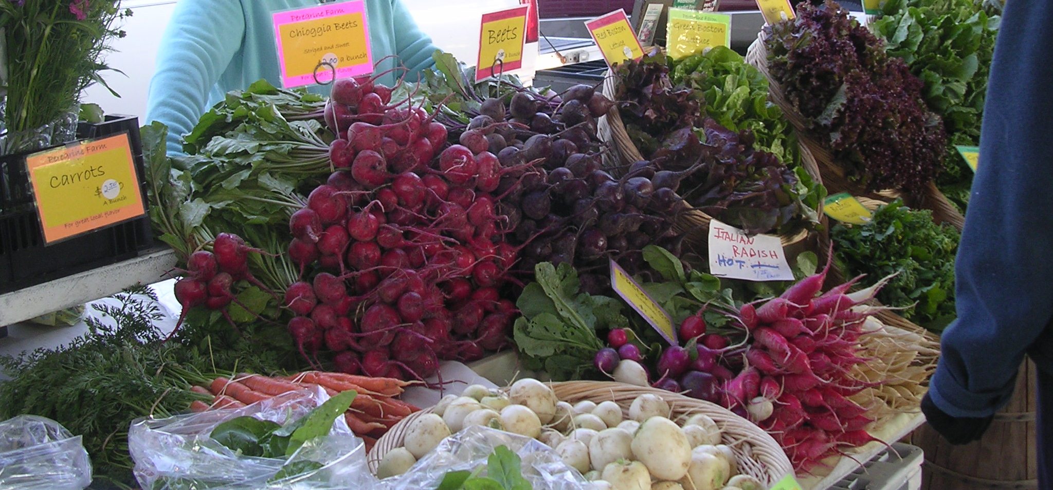 Organic farming workshop set for July 24-25 in St. Martinville 